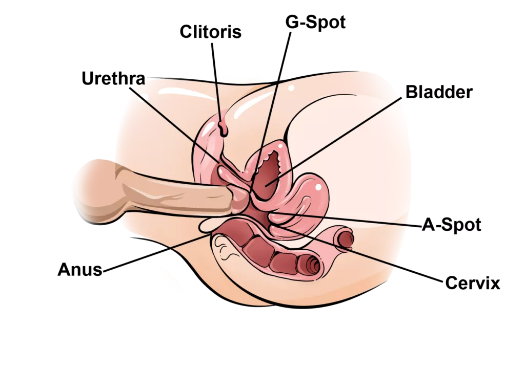 squirt techniques online course 55